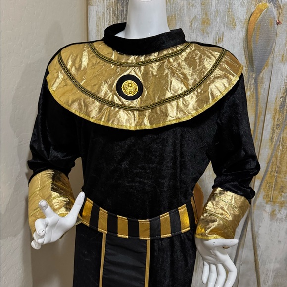 Egyptian Pharaoh Costume in Black and Gold ONE Size - Picture 3 of 5